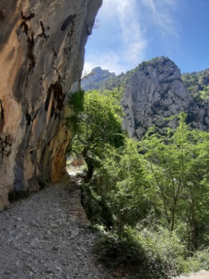 Picos de Europa