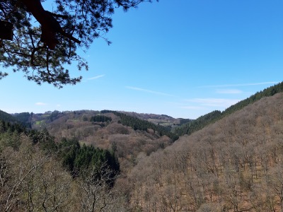 Eifelsteig Aussicht